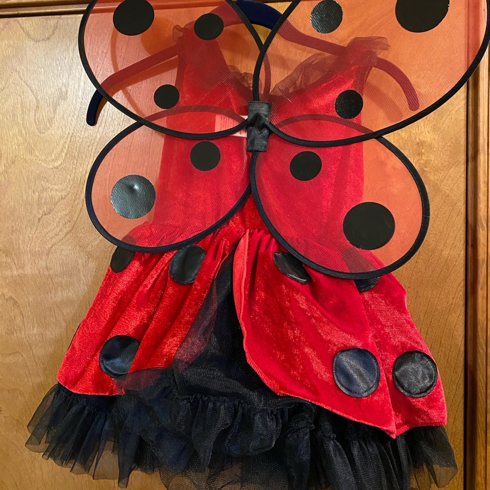 SOLD. Halloween costume little girl 5T - Picture 2 of 3